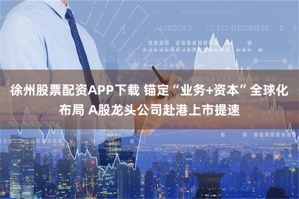徐州股票配资APP下载 锚定“业务+资本”全球化布局 A股龙头公司赴港上市提速