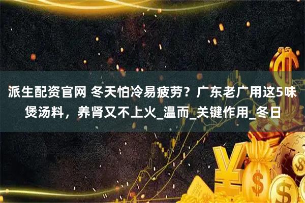 派生配资官网 冬天怕冷易疲劳？广东老广用这5味煲汤料，养肾又不上火_温而_关键作用_冬日