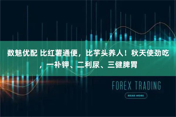 数魅优配 比红薯通便，比芋头养人！秋天使劲吃，一补钾、二利尿、三健脾胃