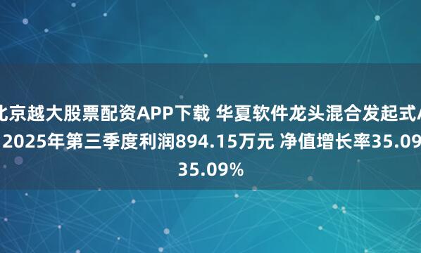 北京越大股票配资APP下载 华夏软件龙头混合发起式A：2025年第三季度利润894.15万元 净值增长率35.09%