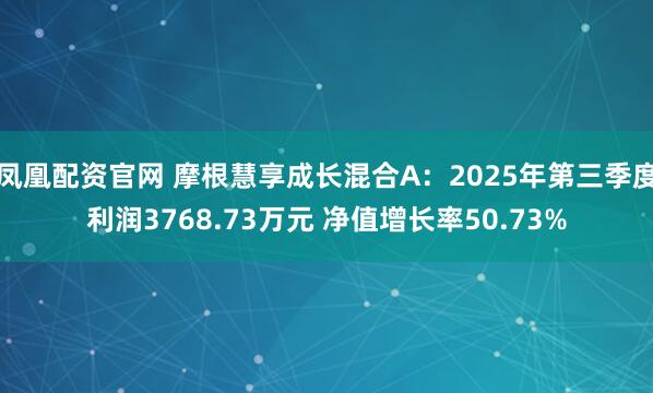 凤凰配资官网 摩根慧享成长混合A：2025年第三季度利润3768.73万元 净值增长率50.73%